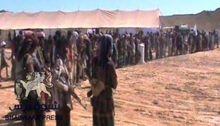قبائل الحموم يسلمون قاتل ‘‘باسحيم‘‘ للنيابة بالمكلا تنفيذا للحكم الصادر من أولياء الدم