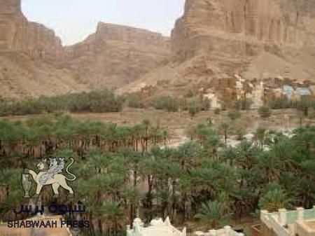 المنطقة العسكرية الأولى تستعد لتطهير وادي وصحراء حضرموت من القاعدة