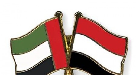 دولة الإمارات : أزمة اليمن بلغت مستويات خطيرة