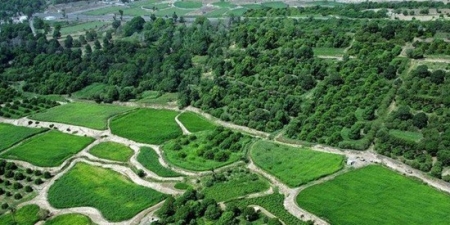 قبل 80 عاما الزعيم التونسي الثعالبي في لحج وشتان بين الأمس واليوم