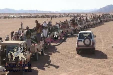 قبيلي شبواني : اتركوا عدن للعدنيين !
