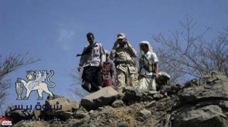 بلاغ صحفي صادر عن المقاومة الشعبية الجنوبية منطقة ردفان:
