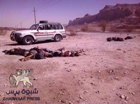 بيان عن المقاومة الجنوبية محافظة شبوة بشأن قتل جنود يمنيين