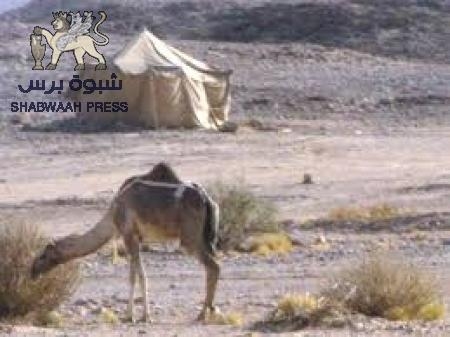 صحراء حضرموت تستعد لأمتحانات النقل وأثاث لمدرسة بنات بـ (6) ملايين ريال