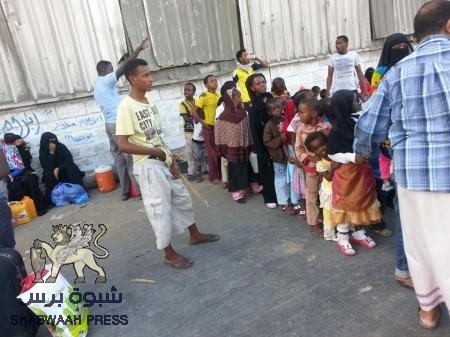 صوماليو اليمن والهجرة العكسية ..