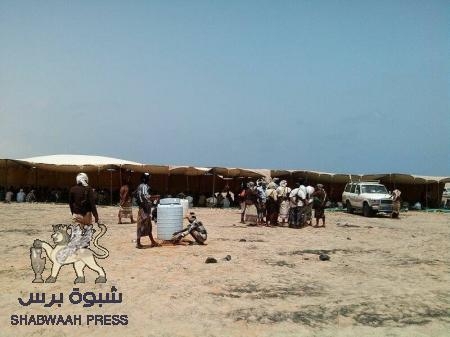 قبيلة ال بافقير وقبايل الواحدي شبوة تقيم المخيمات بمديرية رضوم تضامنا مع المعتقل الشيخ بافقير .