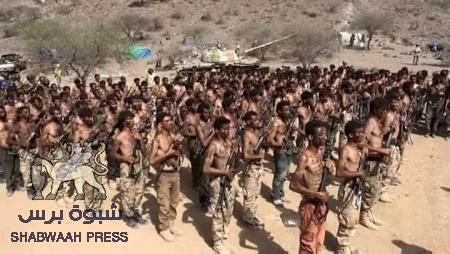 انتصارات الضالع لم تقابل بالرضى من دول التحالف .. وطموحات الجنوب تصطدم بعودة الشرعية