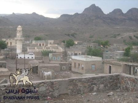 المقاومة الوطنية الجنوبية تعيد تأهيل مستشفى المسيمير المتواضع لإجراء اول عملية جراحية ناجحة