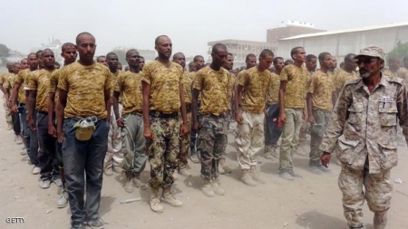 القوات الشرعية تعد لعملية لتحرير مأرب