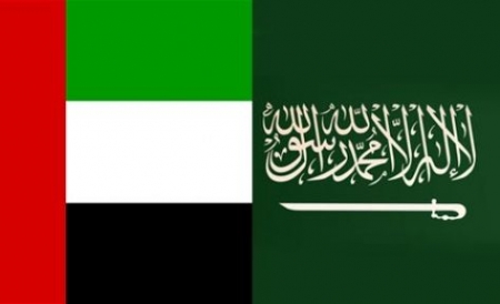دبلوماسي جنوبي: على السعودية والامارات الإتعاظ من التجربة المصرية في اليمن