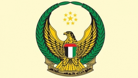 بيان رسمي: 45 شهيدا إماراتيا في اليمن