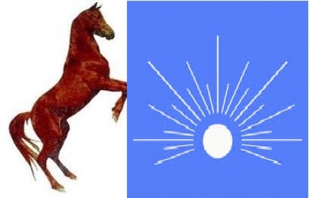 راكب الخيل لا يستغني .. عن الشمس ..