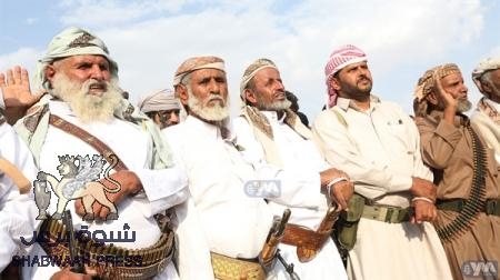 بعض مشائخ مأرب يصلون الشرورة في طريقهم الى الامارات بدعوة من الشيخ محمد بن زايد