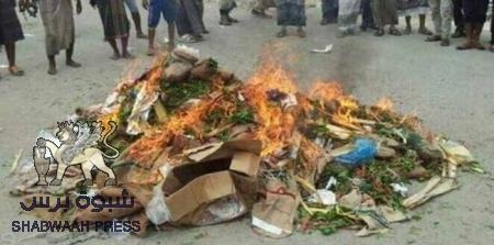 جزيرة سقطرى تتظاهر تأييدا لقرار منع دخول القات