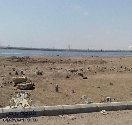 بالصورة: اعمال بسط عشوائي على اراضي محمية الطيور في عدن