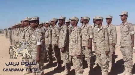 اللواء الثاني مشاة جبلي بشبوة يواصل التدريبات للدفعة الثانية من المنضمين للجيش الوطني