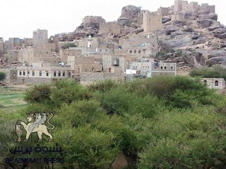 مليشيات الحوثي تطلق النار على شاب مريض نفسياً بمكيراس