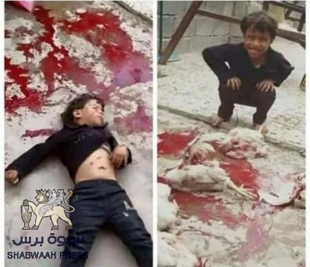 يذبحون دجاجهم ويلطخون أطفالهم بدمائها ويتهمون الجنوبيين بقتلهم