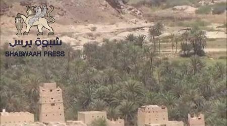 نداء عاجل  من اهالي منطقة لماطرمديرية ميفعه شبوة إلى وزير الاتصالات .