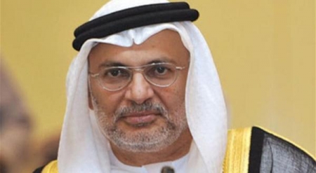 وزير الدولة للشؤون الخارجية في الامارات: مستمرون في حرب اليمن