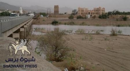 وصول سبعة جرحى من مديرية عسيلان الى مستشفى بيحان الأعلى
