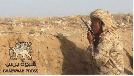 العميد مسفر الحارثي يشيد ببطولات الجيش الوطني والمقاومة في جبهة عسيلان وبيحان بشبوة