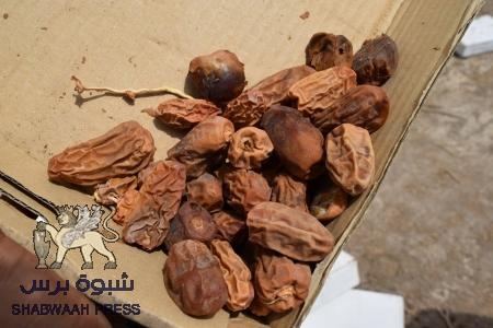 قوات الحزام الأمني تتلف كميات كبيرة من التمور وتكشف عن الجهة التي تقف خلفها