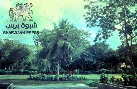 إنهم يحرقون بستان الكمسري