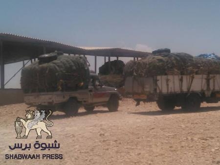 نقطة رأس حويرة تكتشف دخول يمنيين بأسماء حضارم