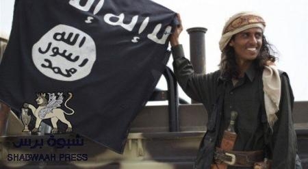 تأجيل الحملة على القاعدة بوادي حضرموت بناء على طلب بعض المسئولين