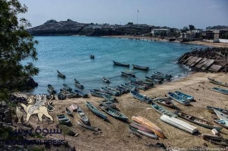مسلحون يعتدون على مدير التأمينات في مديرية صيره