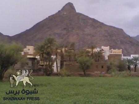 الضنك يقتل 24 ويصيب ألفي شخص ببيحان شبوه