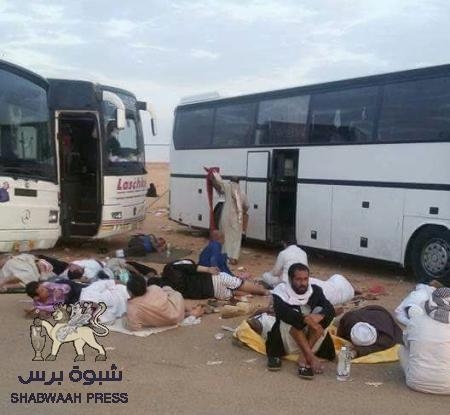 التعيينات الحكومية الأخيرة وفشل تفويج حجاج بيت الله الحرام