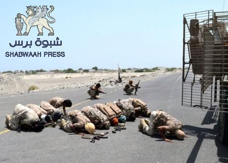 هل تعود القاعدة الى أبين؟