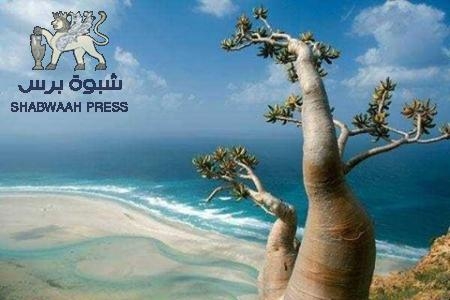 سقطرى حرة مستقلة إداريا