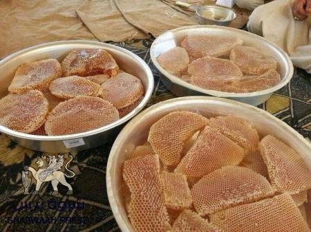تربية النحل وتجارة العسل في شبوة ...مهنة مزدهرة وماركة عالمية