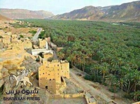 وادي حجر المنسي ... تحت المجهر (صور)