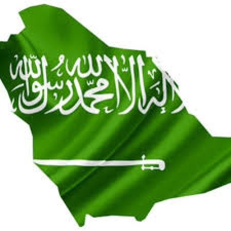 السعودية: جاستا مصدر قلق كبير للدول ويضعف السيادة