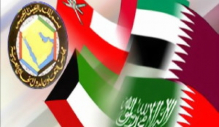 مسؤول : ‘‘أمن الخليج العربي 1‘‘ خطوة متقدمة للاتحاد الخليجي