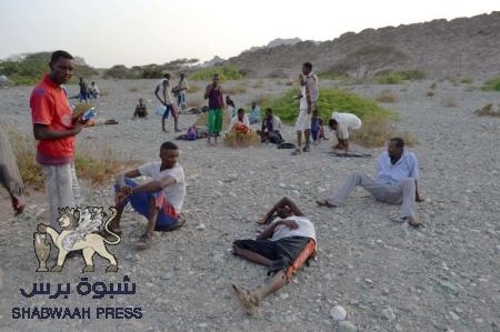تقرير 6 حقائق لا تعرفها عن المهاجرين الإثيوبيين ‘‘الأورومو‘‘ الواصلين إلى شبوه