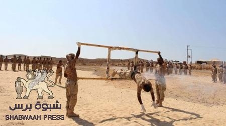 مصدر عسكري: تخرج الدفعة الأولى من قوات النخبة الشبوانية مطلع الشهر القادم