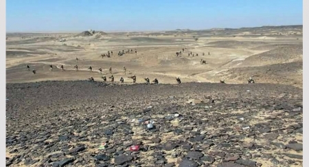 إنقاذ وادي حضرموت من السقوط بيد الإرهابيين ! (تقرير)