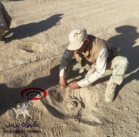 الشرعية تنزع مئات الألغام وتقطع خط تهريب بين مأرب وشبوة