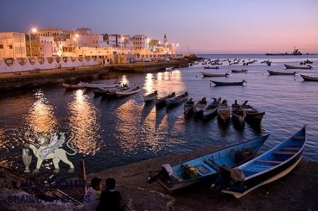 ستكون هناك إجراءات أمنية صارمة للمخالفين ببيع القات داخل المكلا