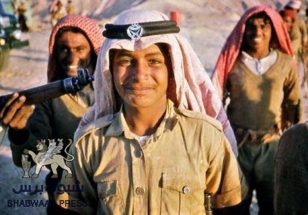 قوات النخبة الحضرمية وجيش البادية الحضرمي