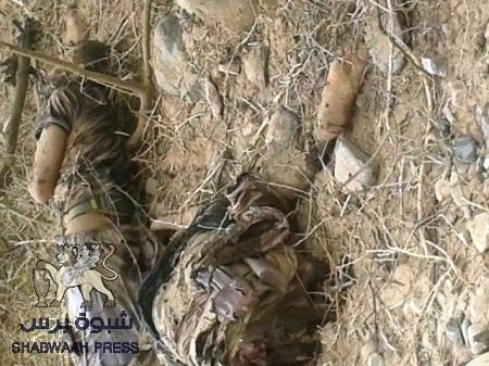 مقتل عنصر من القاعدة أثناء محاولته زرع عبوة ناسفة على طريق حيوي بأبين