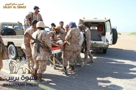 ‘‘صور‘‘ من جبهة ذوباب في باب المندب تفضح قنوات إخوانية باليمن