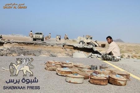 البدء بنزع ألغام الانقلابيين في ذباب جبهة ‘‘باب المندب‘‘ .