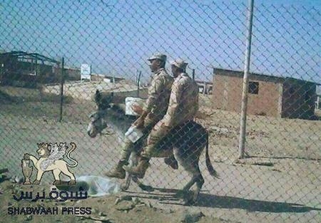 ستتعب الشرعية والتحالف في البحث شمالا عن أصحاب قضية