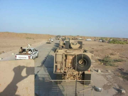 صحيفة اماراتية تؤكد : الجيش يحرر منطقتين ويقترب من ميناء المخا